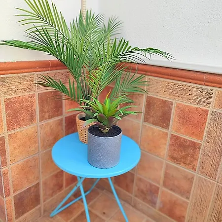 Apartamento Palm Tree House